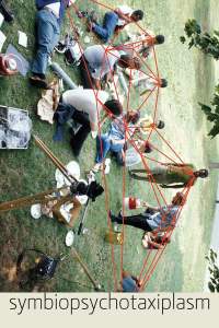 symbiopsychotaxiplasm